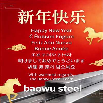 baowu happy new year